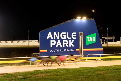 padikit date angle guide|Angle Park Greyhound Long Form (Race 5) .